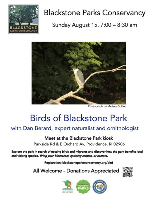 Birds of Blackstone Park – with Dan Berard