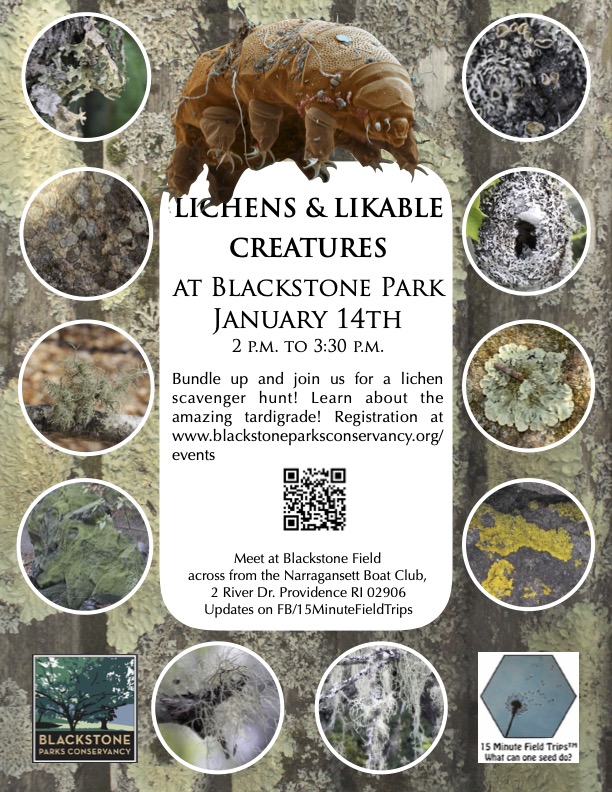 Lichens and Likable Creatures