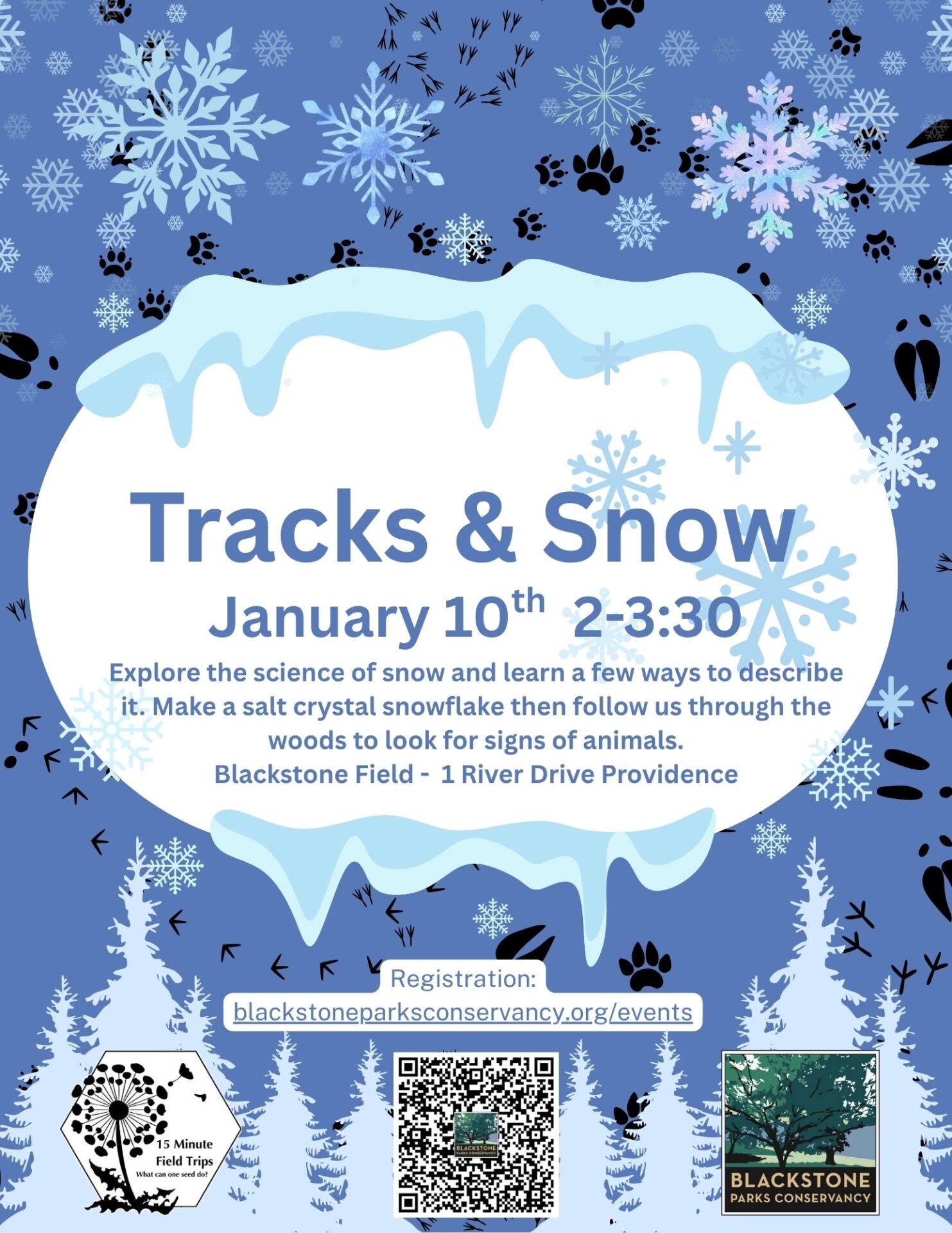 Tracks and Snow