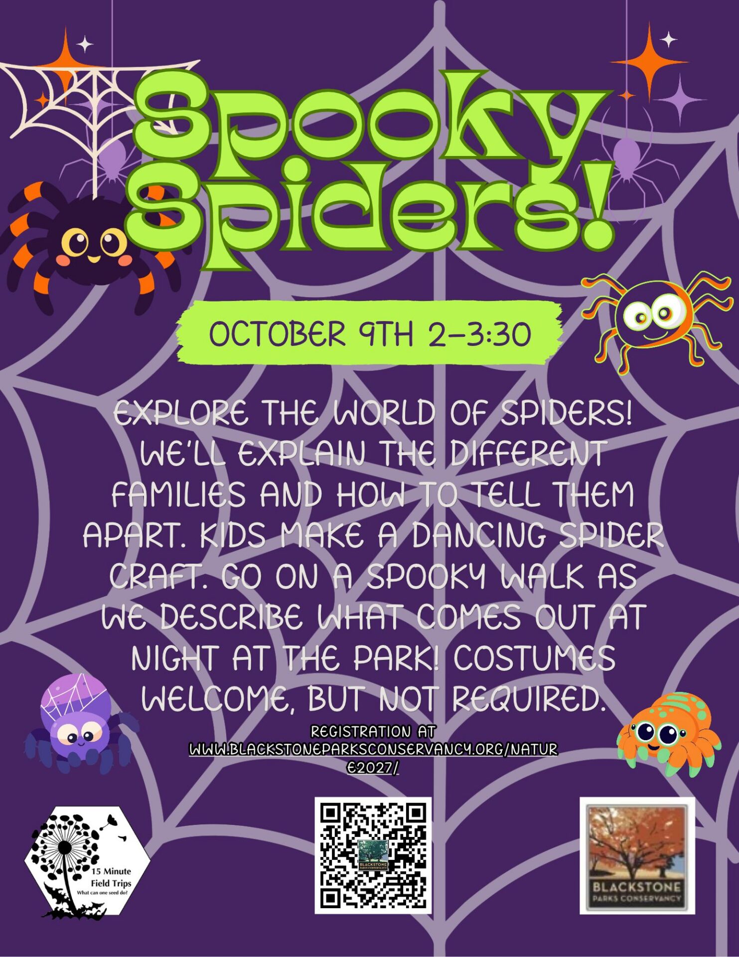 Spooky Spiders