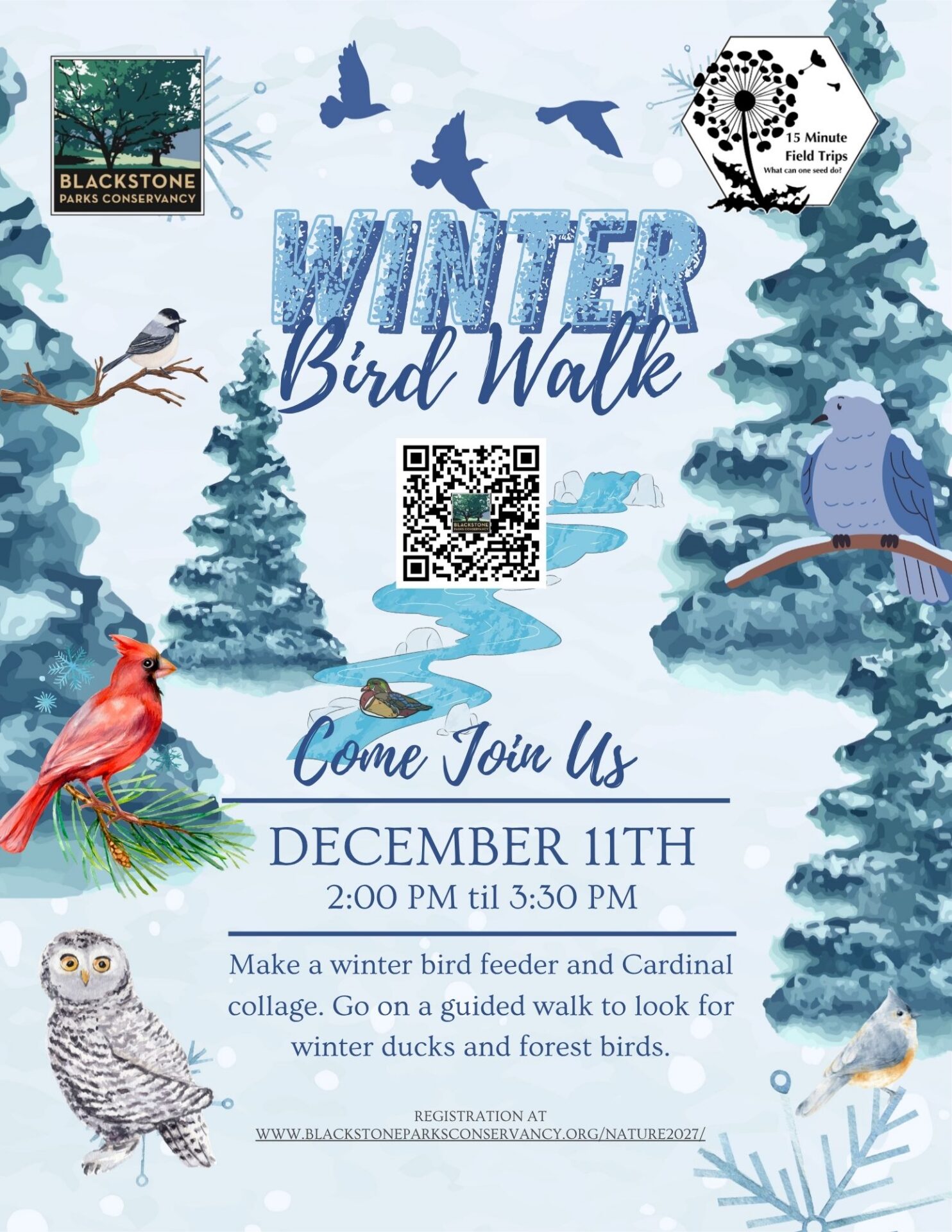 Winter Bird Walk