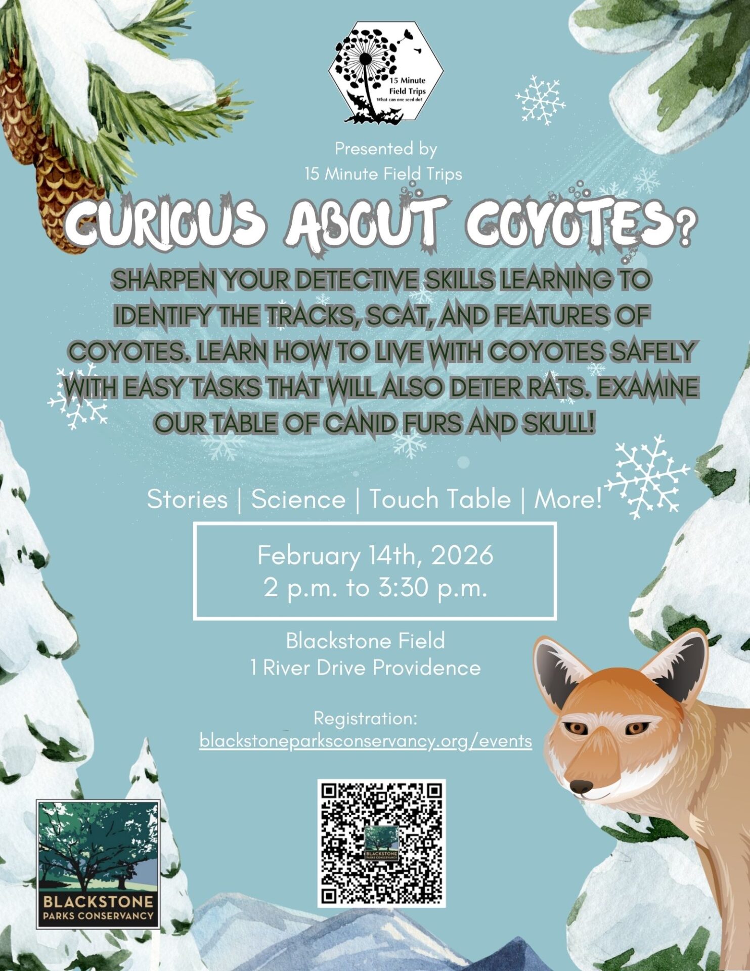 Curious About Coyotes?