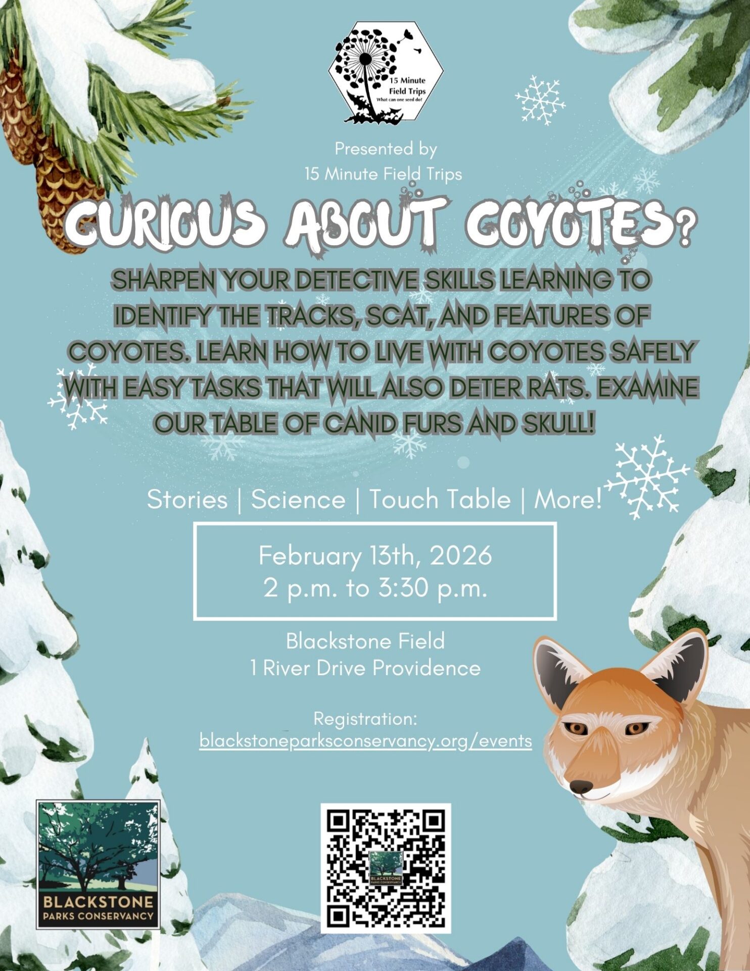 Curious About Coyotes?