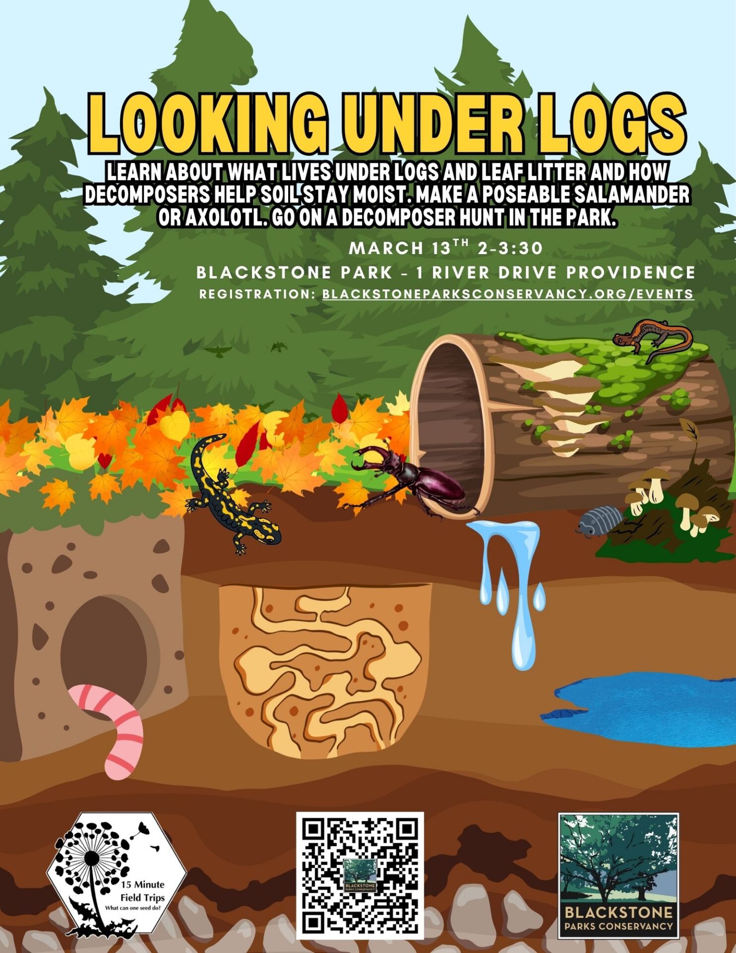 Looking Under Logs