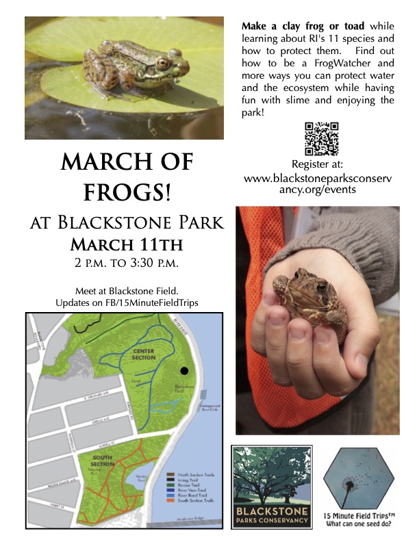 March of Frogs