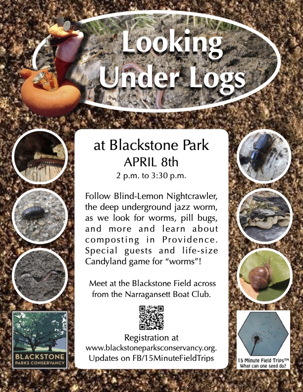 Looking Under Logs/Compost Critters