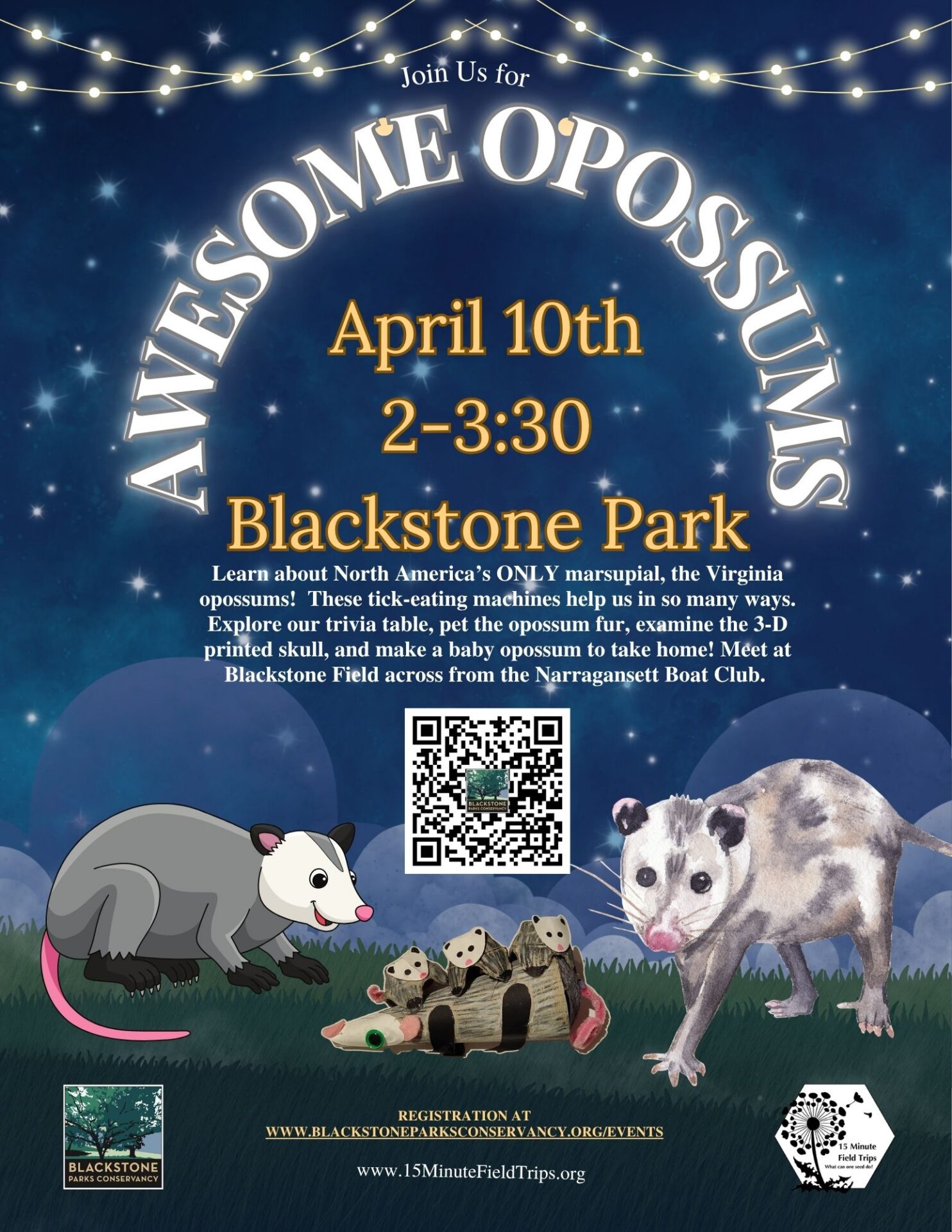 Awesome Opossums