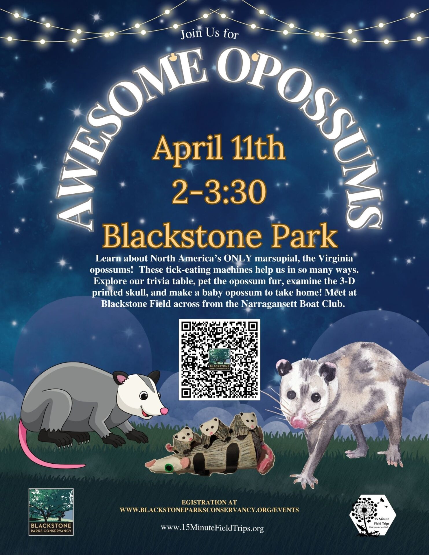 Awesome Opossums
