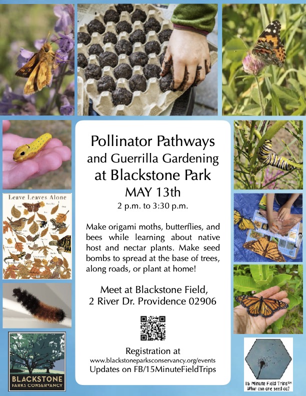 Pollinator Pathways and Guerilla Gardening