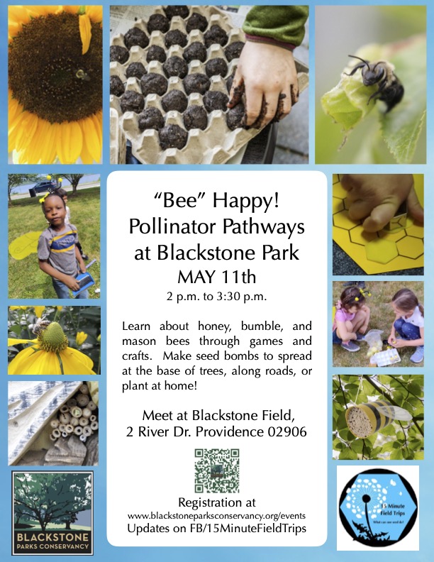 “Bee” Happy! Pollinator Pathways at Blackstone Park