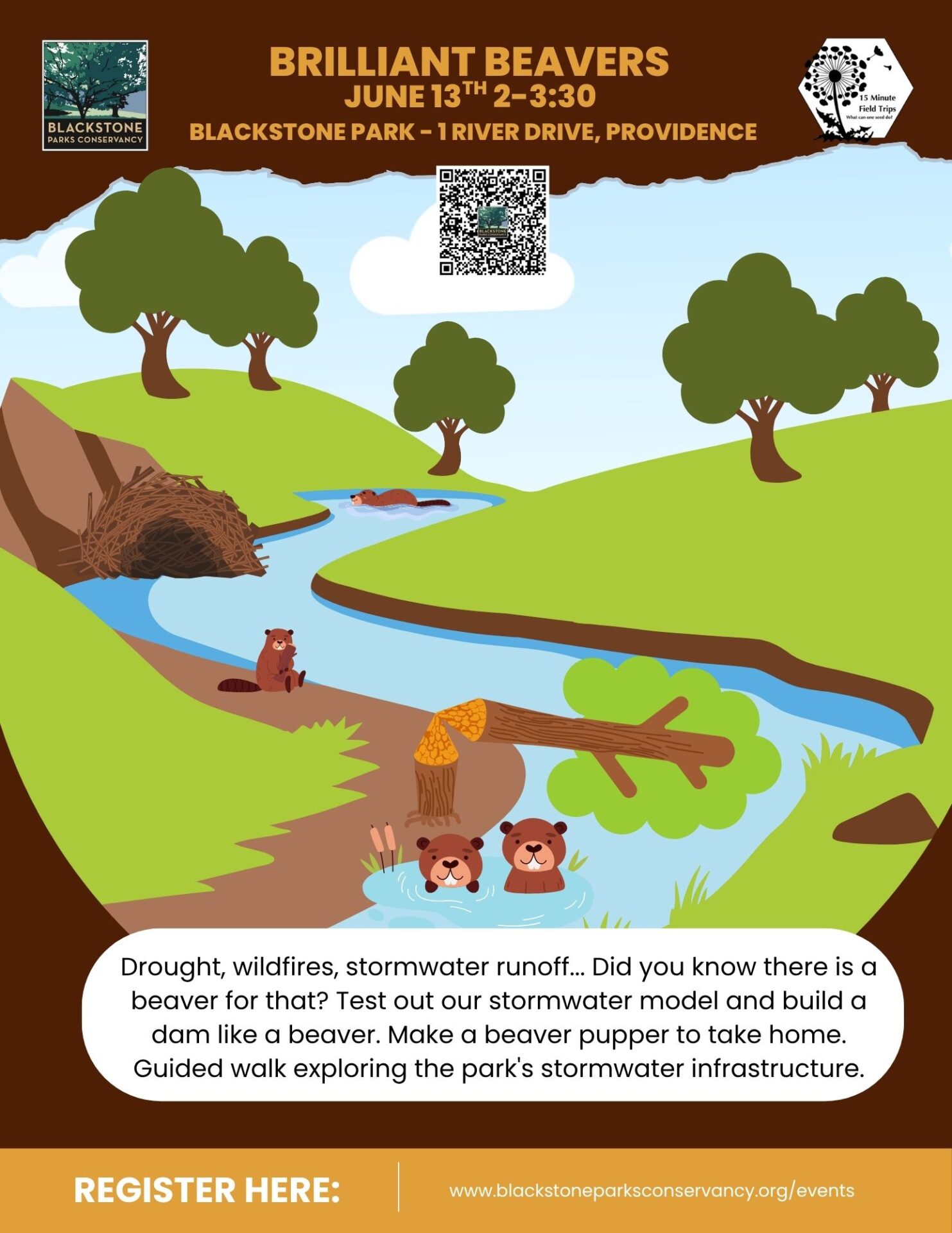 Brilliant Beavers