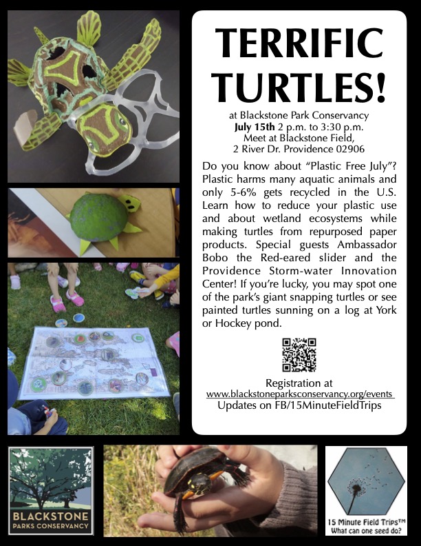 Terrific Turtles