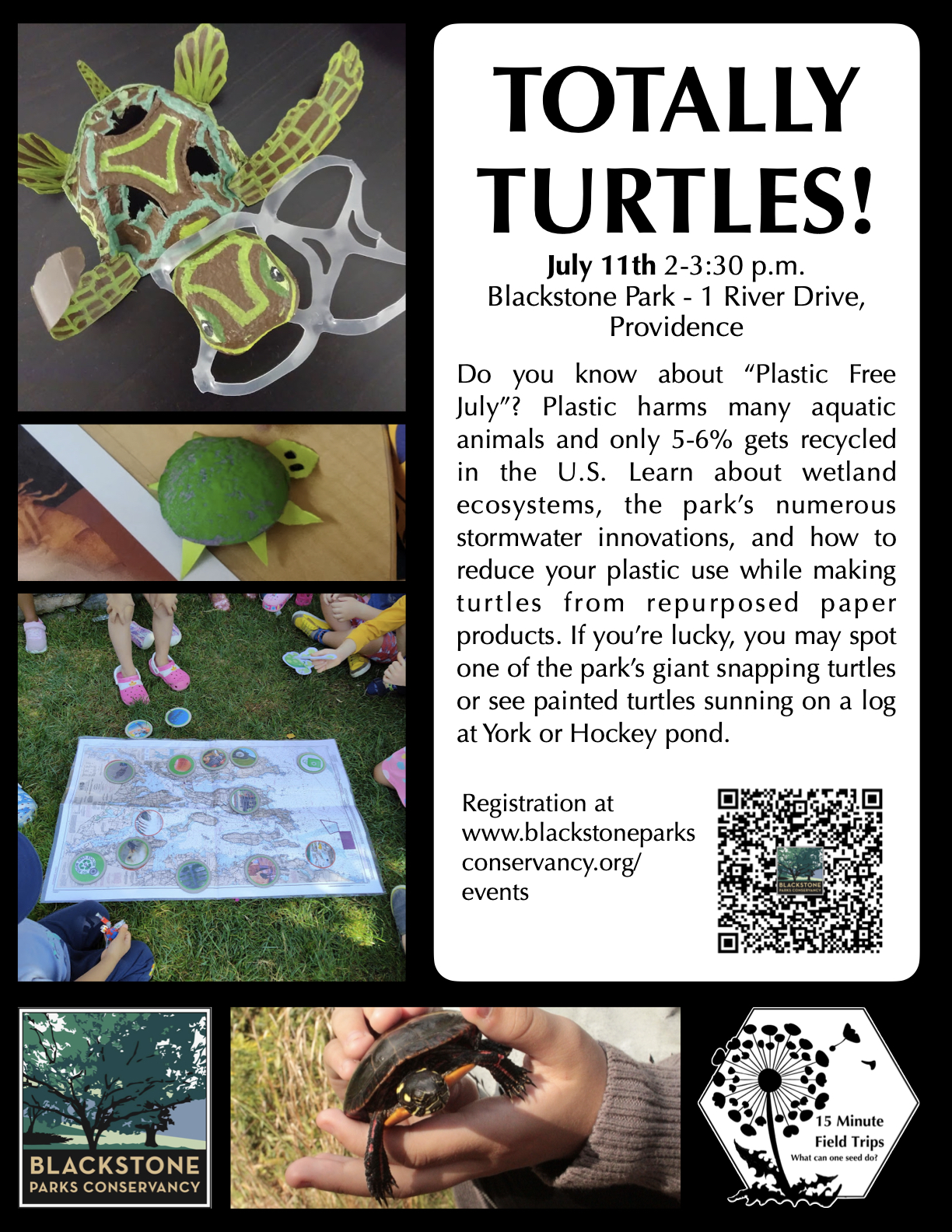 Totally Turtles