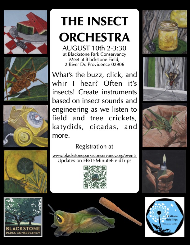 The Insect Orchestra