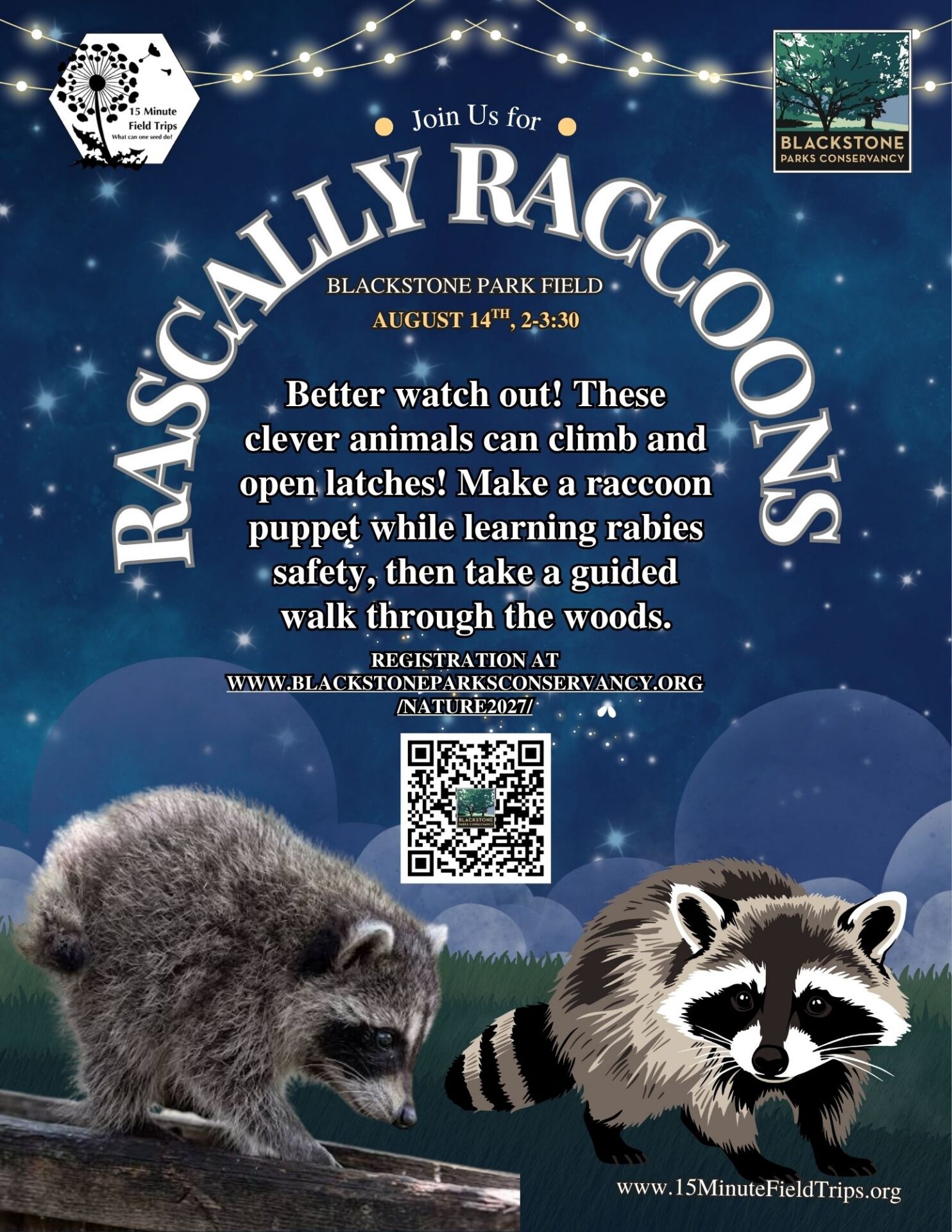 Rascally Raccoons!