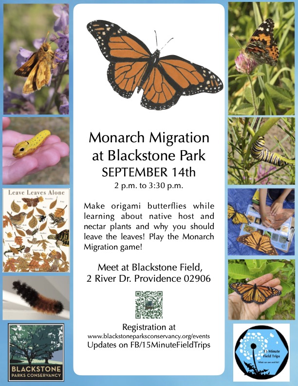 Monarch Migration at Blackstone Park