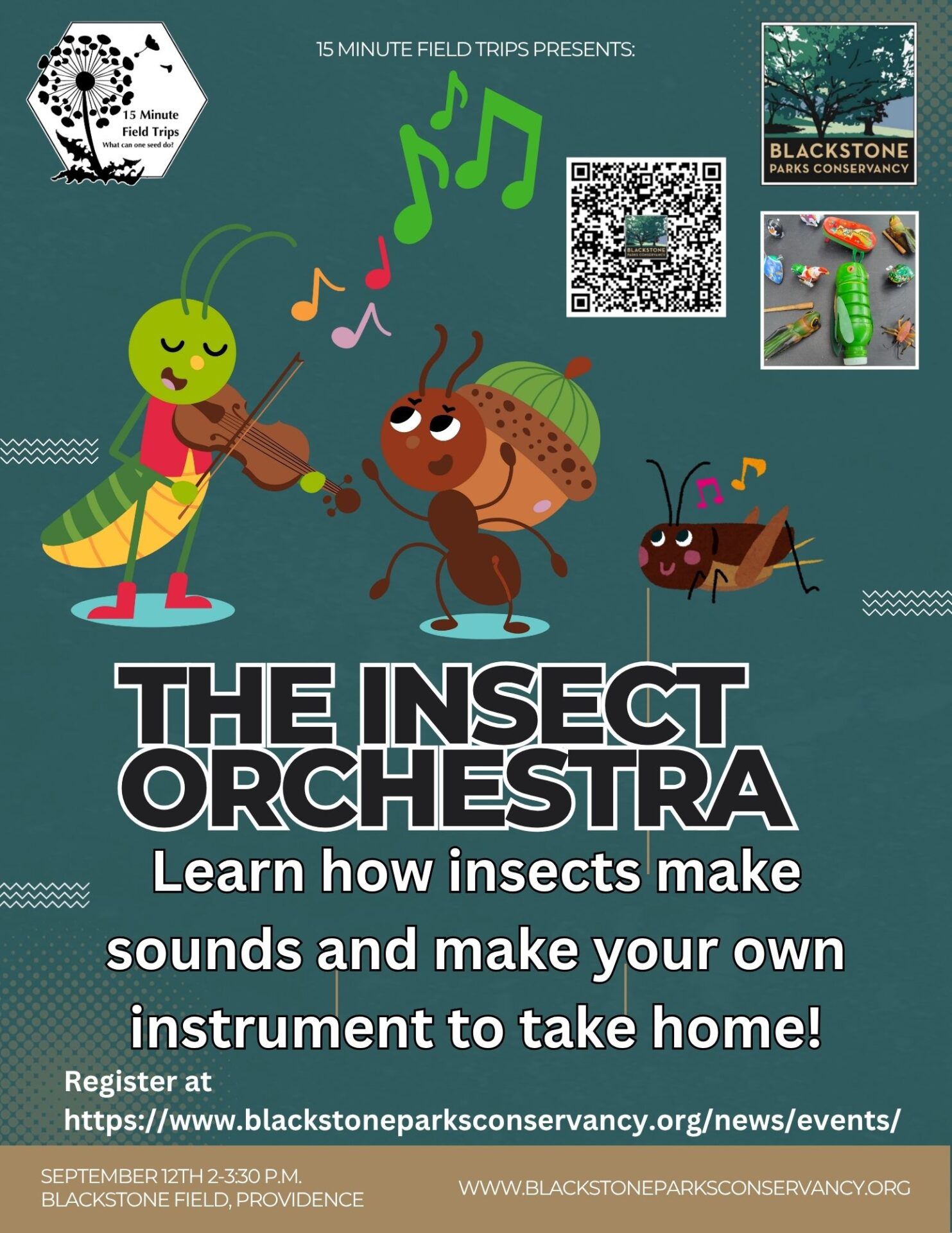 Insect Orchestra