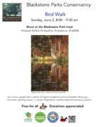 Birding Walk