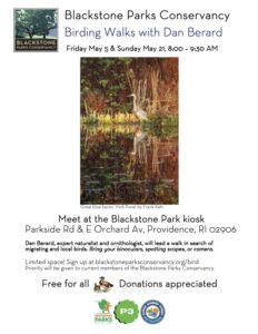 Birding-Walks flyer