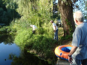 Intrepid volunteer Cynthia Bertozzi goes after invasive purple loosestrife as expedition leader Carrie Drake and Don Cordner urge her on