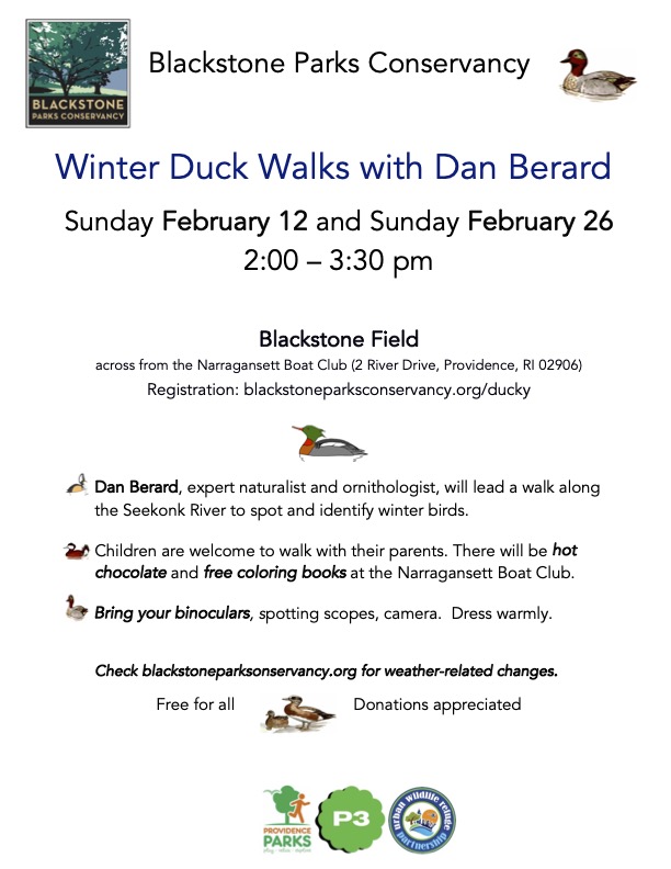 Winter Duck Walk with Dan Berard