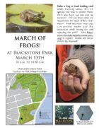 March of Frogs