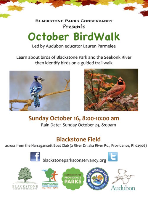 october-birdwalk-16-oct-2016