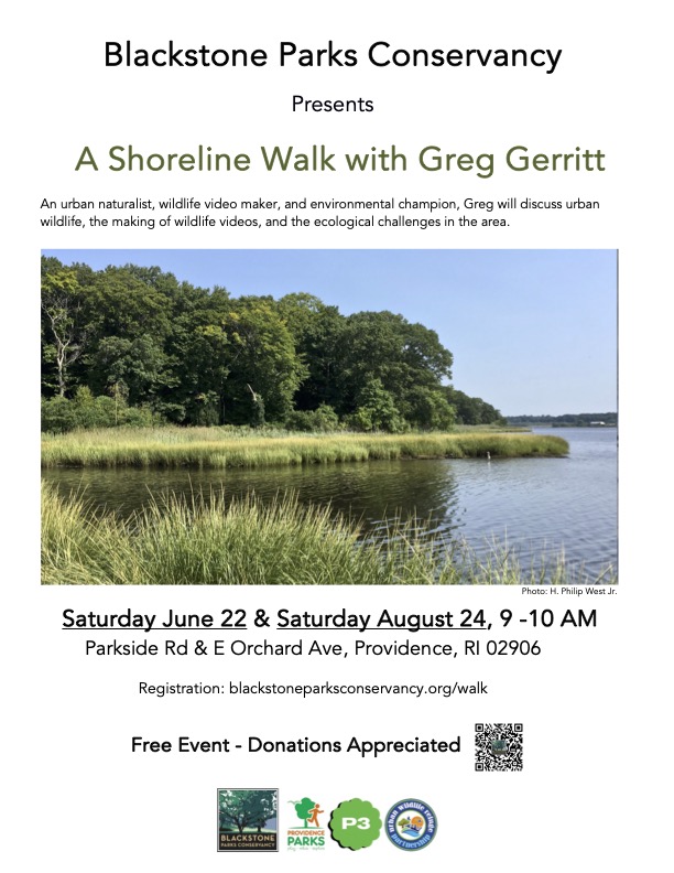 A Shoreline Walk with Greg Gerritt