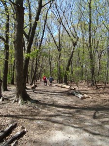 Strolling through Blackstone Park Conservation District