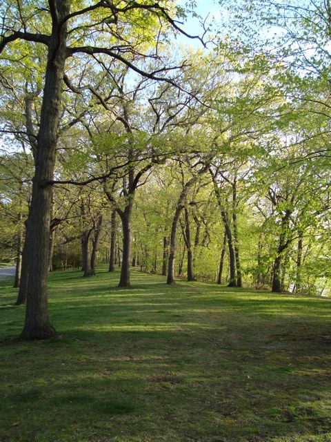 Park on Loring Avenue