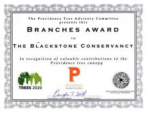 Branches Award from The City of Providence