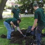 Volunteers Digging on the Boulevard