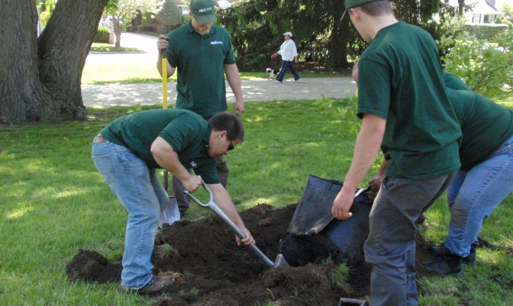 Volunteers Digging on the Boulevard